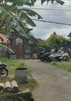 Lodtunduh House | Tunjung kuning