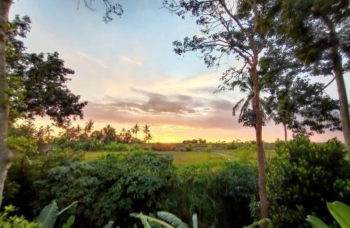Singapadu Tengah Villa | Ubud 3-bedrooms with sunset view