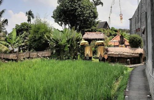 Peliatan Hotel | Ubud Hidden Villa Yone village