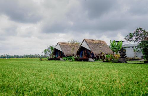 Peliatan Hotel | Ubud Rice Field Stay by WAHM Hotel Management