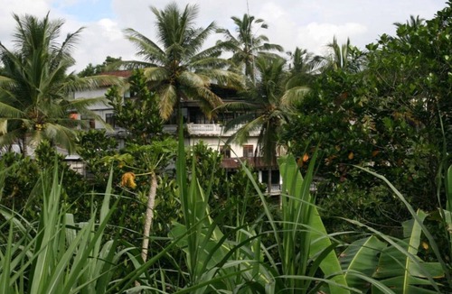 Sebatu House | Ubud Rice Terrace - Jungle/Rainforest view