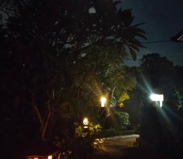 Peliatan House | Umah 38