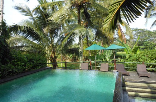 Ubud Apartment | Upper Level 1BR Apartment with Swimming Pool