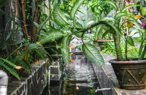 Taman Griya Hotel | Villa girihill