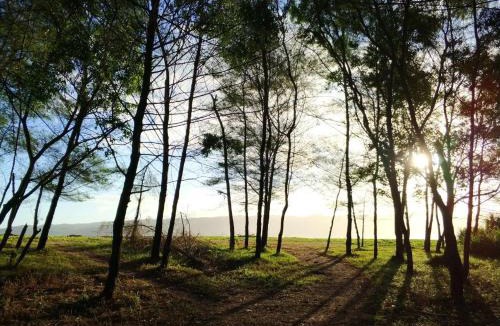 Pacitan House | Villa Hembers Surf Camp