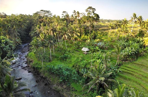 Tabanan Villa | Villa Kupu Kupu Blayu - Amazing Rice Field view Between Canggu and Ubud