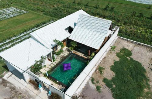 Kaliasem Villa | Villa Soluna Lovina