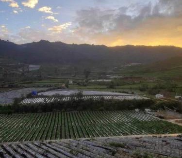 Dieng Apartment | Villa xwetan view prau