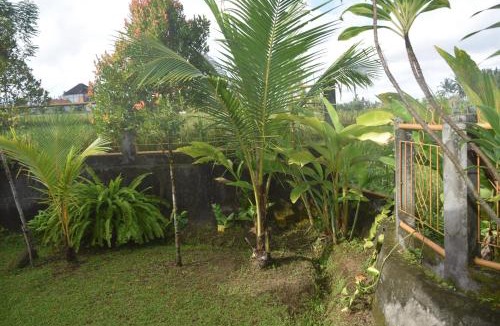 Pejeng Kawan Villa | Villa Yan Tara 2BR Private House Ubud Rice View Garden