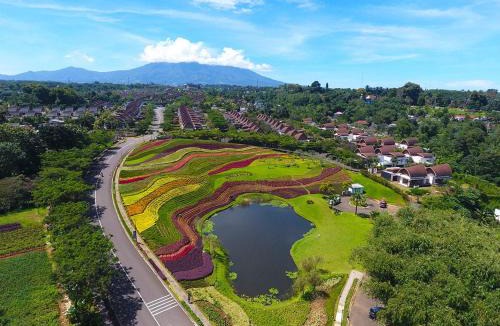 Ciawi Villa | Vimala Hills Resort Cozy Villa Puncak Gadog Bogor
