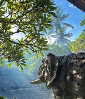 Nyuh Kuning Villa | Wana Karsa The Villas Ubud