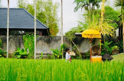 Nyuh Kuning Villa | Wana Karsa The Villas Ubud