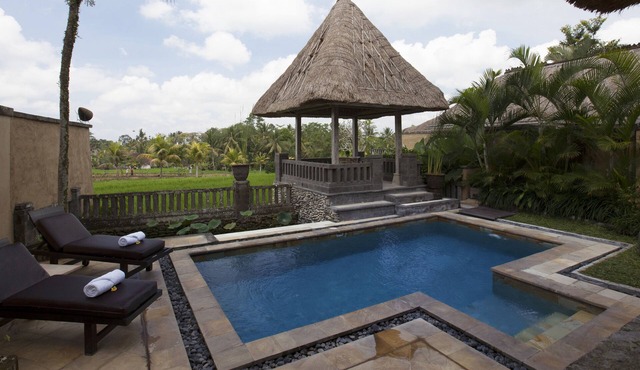 1 Bedroom Pool Villa with Ricefield view in Ubud in Ubud