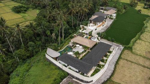 15BR Blue Parrot Arara Layang by BaliSuperHost
