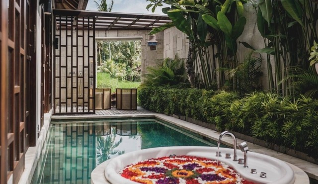 1BR Rice View Villa in Ubud in Ubud