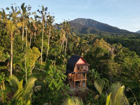Bali Jungle Cabin in Selemadeg