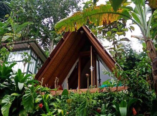 BEDUGUL Backpackers camp in Bedugul