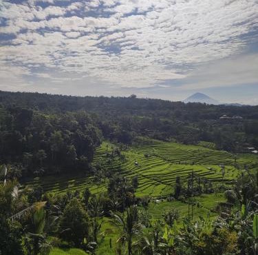 Gunza Bed and Breakfast in Jatiluwih