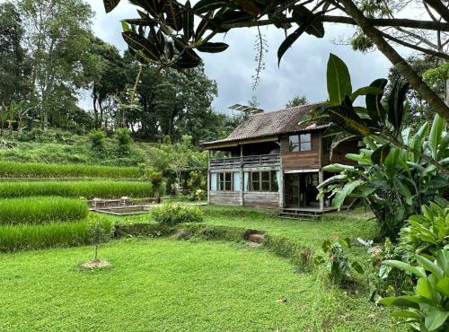 Joglo River Pure Nature Lodging in Pujungan