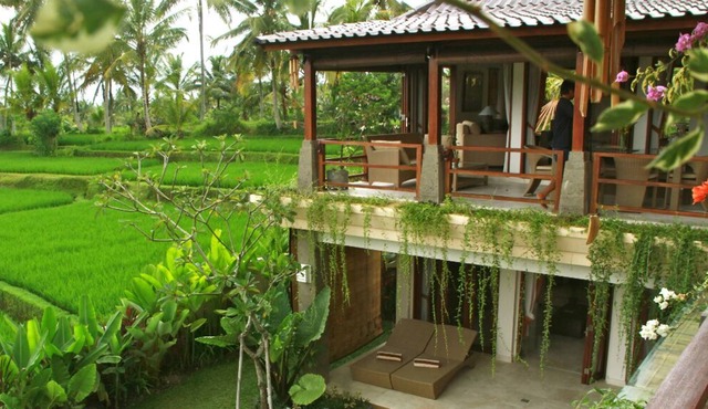 Look No Further! 3BR luxury Villa Solera in ricefields, short walk to Ubud