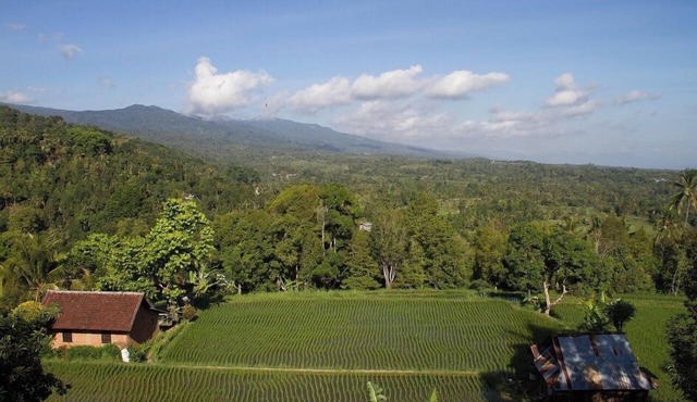 Mandhasativa Homestay