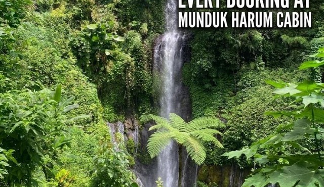 Munduk Harum Cabin in Munduk