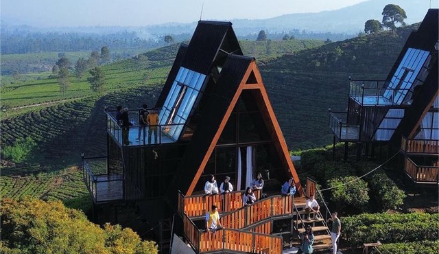 Nimo Tea Resort