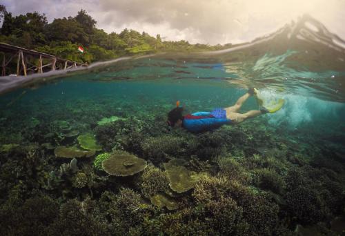 Raja Ampat Dive Resort in Tapokreng