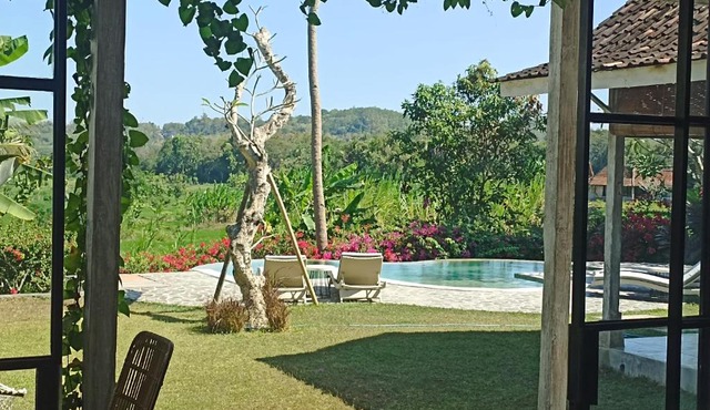 Rice Paddy and Pool View Villas
