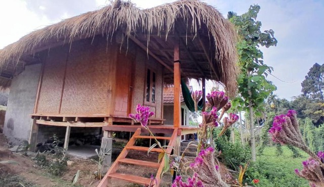 Rinjani Exotic in Senaru