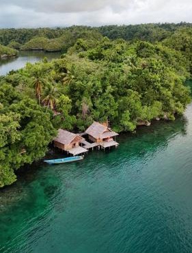"Shady Sea Raja Ampat" in Sawinggrai