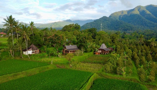 Sunset Sala- Experience the REAL Bali in Sudaji
