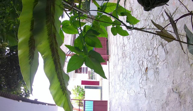 Taba Yama Trip & Homestay