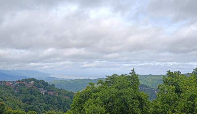 Taman Sari Homestay in Munduk