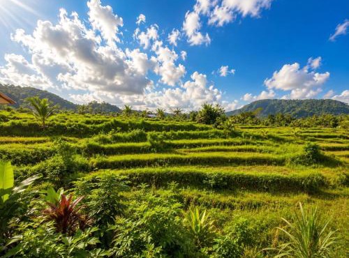 The Kubu Sidemen 2 in Silebeng