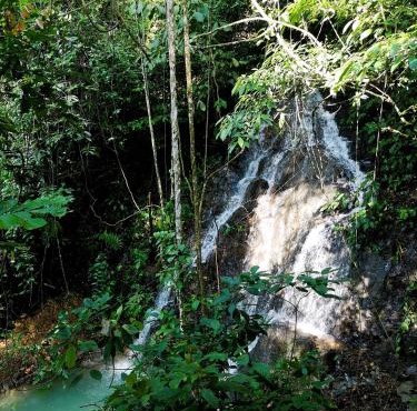 TheJungleGuide - Lodges & Treks in Bukit Lawang