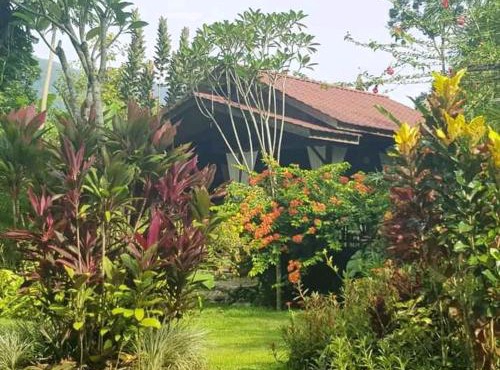 Thousand hills peaceful bungalows and expert jungle treks in Lhokuenam