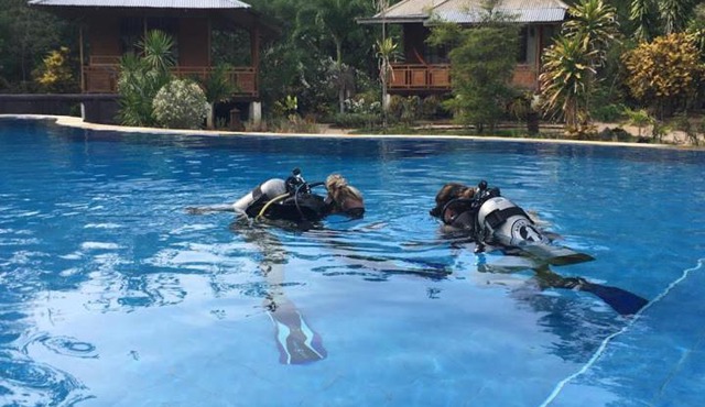 Two Fish Resort Bunaken in Bunaken