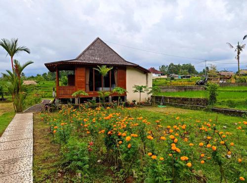 Umaros Villa - a Nature Joglo House