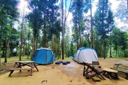 Youlien Campsite Bandung in Gambung