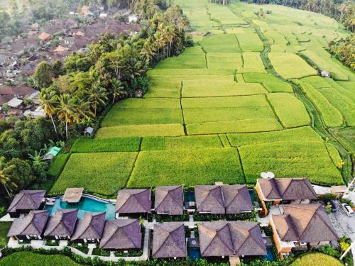 Kayangan Ubud 