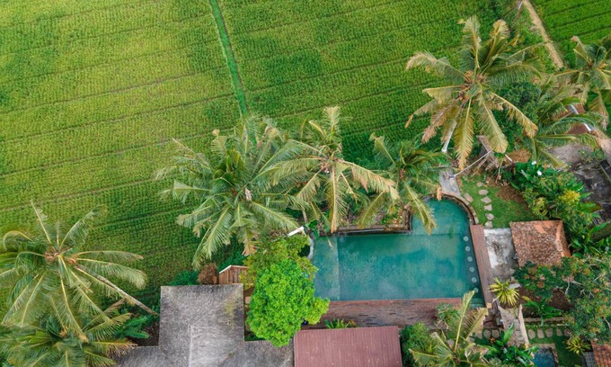 Sebatu Resort | 450 m² Resort ∙ 3 bedrooms ∙ 8 guests