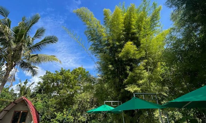 Penida Island Hostel | Hostel ∙ 8 guests