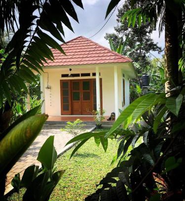 Lodtunduh House | New Studio House with spacious garden in Ubud