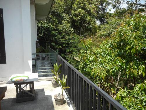 Besakih House | Terrace Homestay Besakih