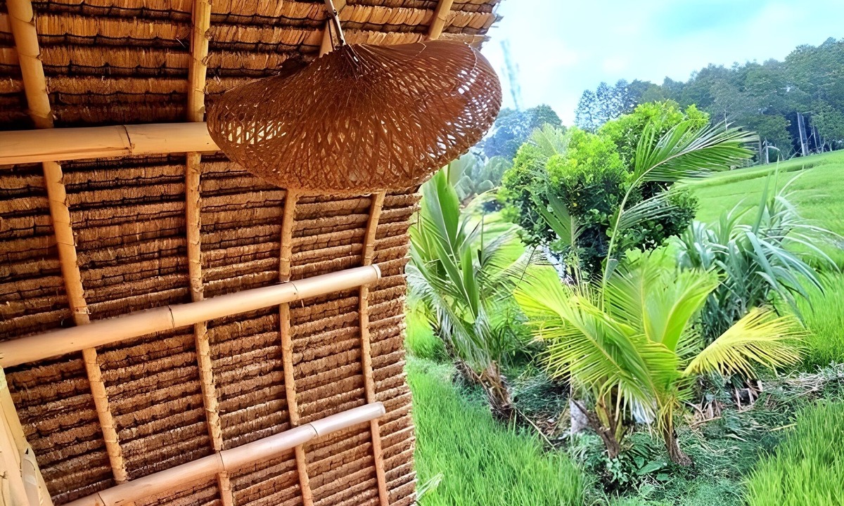 Sebatu Hotel | Tiny ECO Bamboo Ubud