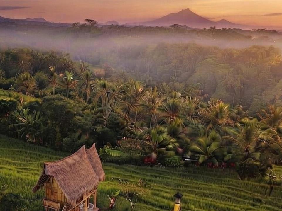 Susut Villa | Aska Bamboo House
