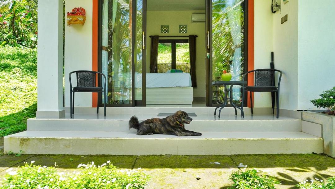East Selemadeg Hotel | Kubu Kiku Megati