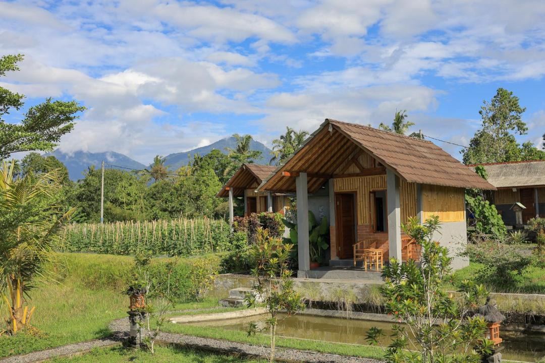 Mekarsari House | Bee Camp Bedugul by AGATA
