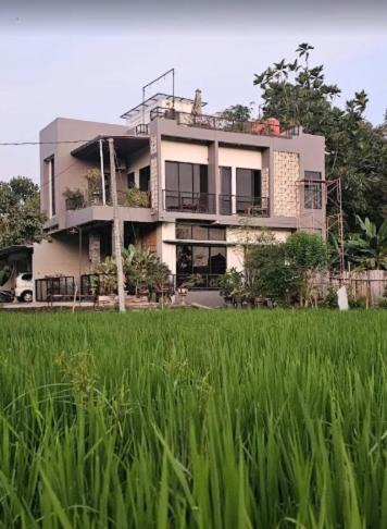 Banguntapan House | Omah Semilir